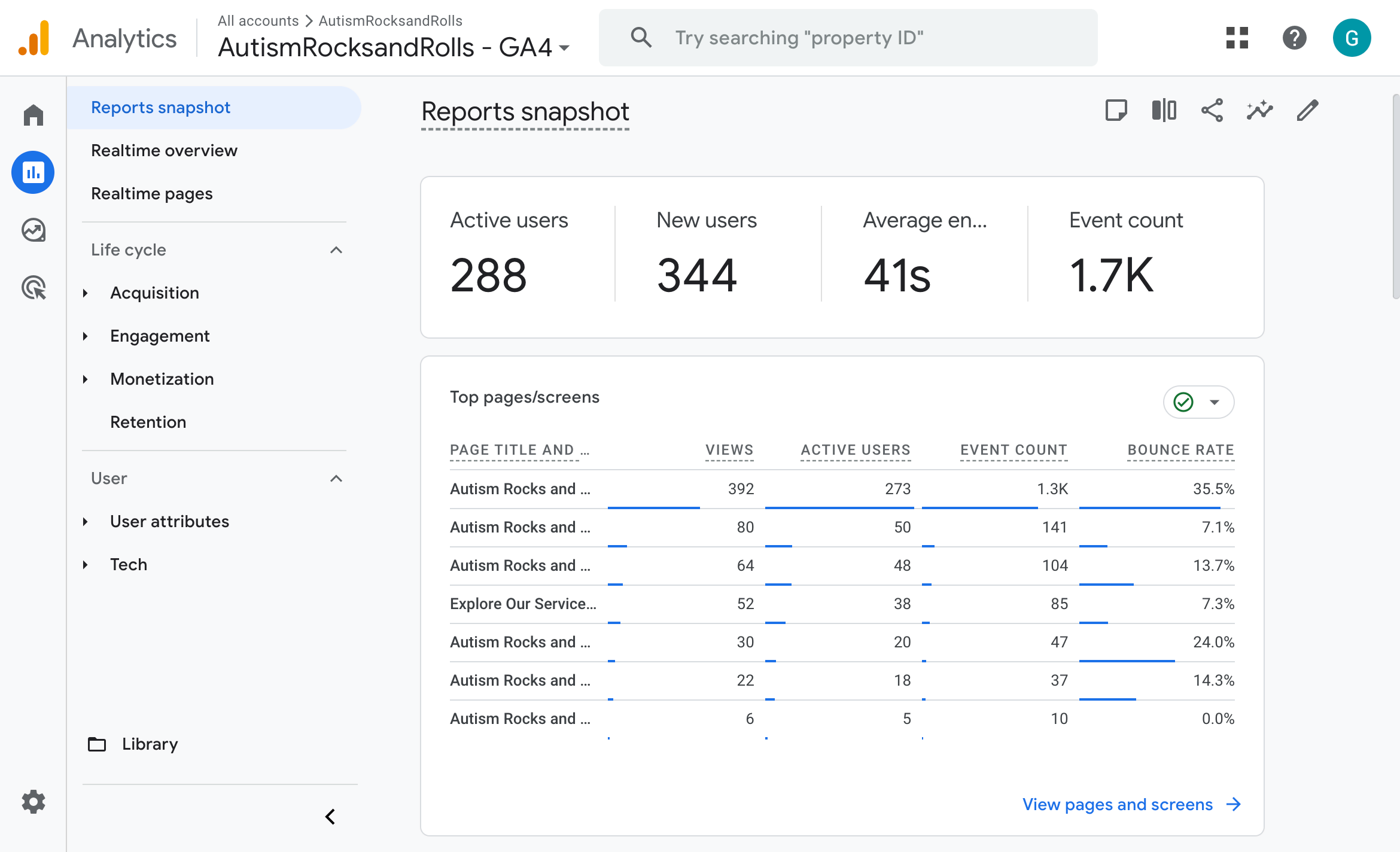 Google Analytics snapshot: 288 active users, 344 new users and the site's top pages by views